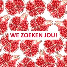 we-zoeken-jou-1x1 we-zoeken-jou-1x1